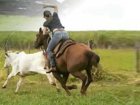 Adilia Castillo   Madrugada llanera   Colección Lujomar