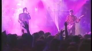 10.Marblehead Johnson - Bluetones - Live 1996