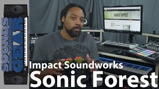 Video thumbnail for Review: Impact Soundworks Sonic Forest Electroacoustic Evolving Textures @SoundsAndGear by SoundsAndGear