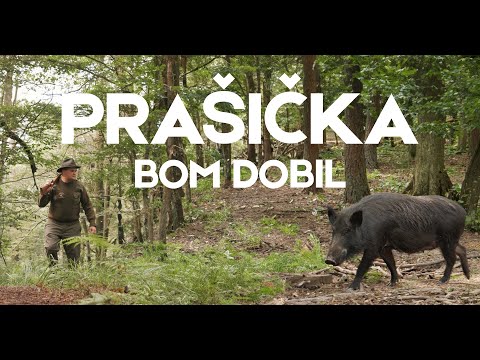 Ansambel Dveh Dolin - Prašička bom dobil
