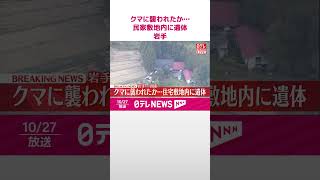 Download lagu 【速報】クマに襲われたか…民家の敷地内に遺体 岩手・一関市 #shorts mp3 Download lagu 【速報】クマに襲われたか…民家の敷地内に遺体 岩手・一関市 #shorts mp3