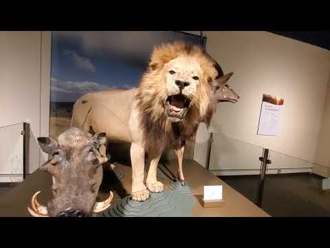 FREE Museums you can go to in Kenosha, Wisconsin