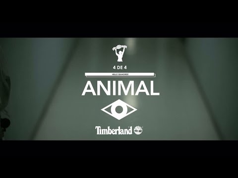 Hello Seahorse! - Animal