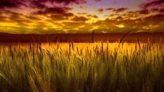 James Asher  /  The Great Wheel