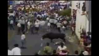 Static X - Fucking Break It (Bull Video Remix) feat. Bubbles from Trailer Park Boys