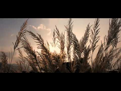 Mayur & Shruthika #mayruthika  pre wedding teaser