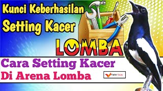Download lagu CARA SETING KACER DI LAPANGAN mp3 Download lagu CARA SETING KACER DI LAPANGAN mp3