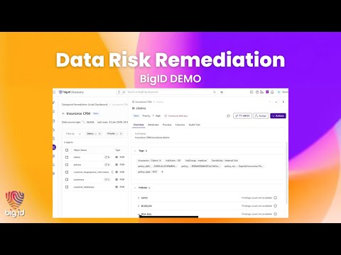 Data Risk Remediation with BigID logo