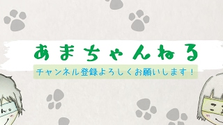 あまちゃんねる のライブ ストリーム