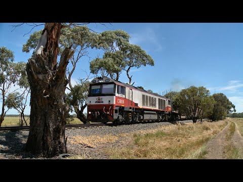 1PM9 SCT Freight Train In Rural Countryside (18/11/2020) - PoathTV Australian Railways