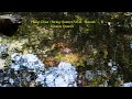 Glass : String Quartet No. 4, ‘Buczak’  -  II