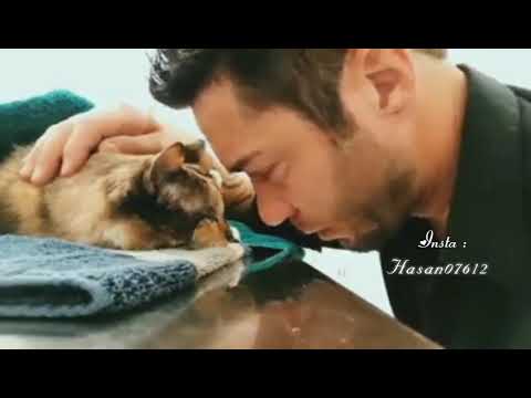 Last Moments with his cat 💔 | Whatsapp status | Status |