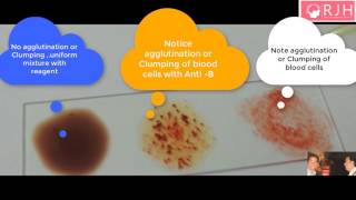 Test ABO blood group and Rh type