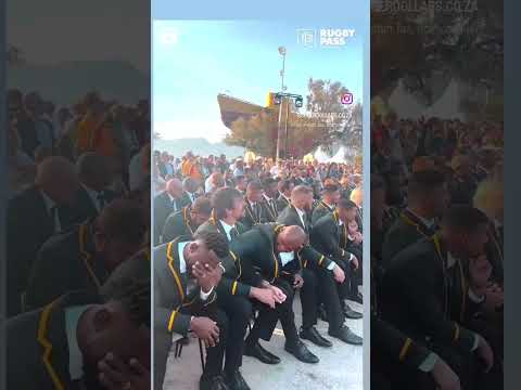 Springbok reaction after England try to book seats at the final... rugby world cup 2023.