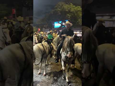Tope Liberia Guanacaste caballos en desfile de la anexión de Guanacaste