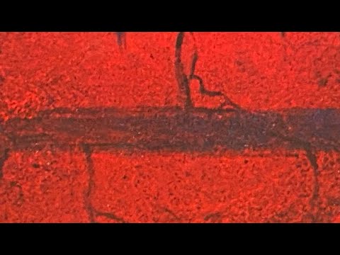 Super Hot Day! - BlackBeanBoi - Day 807 (5/11/2022)