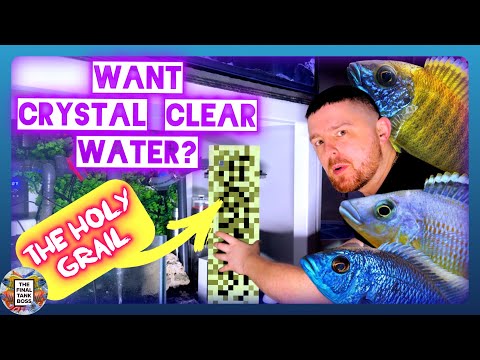 My Secret Weapon for ULTRA CLEAR Aquarium Water!