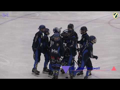 TIC P19: Vetlanda - Stabæk (hele)