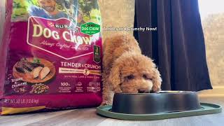 Purina Dog Chow Tender and Crunchy
