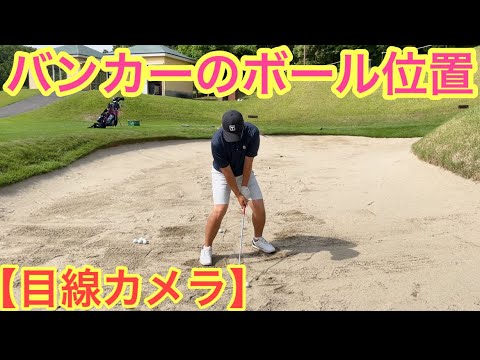 ファエトホルニティ科について詳しく解説