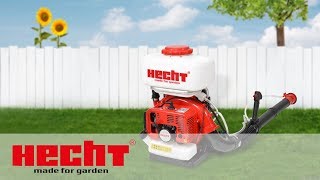 Hecht 459 - відео 1