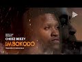 Cheez Beezy - IMBOKODO (Official Visualizer)