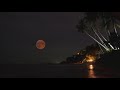 Rare Blood Moon Rises Early Tuesday Here S How To Watch