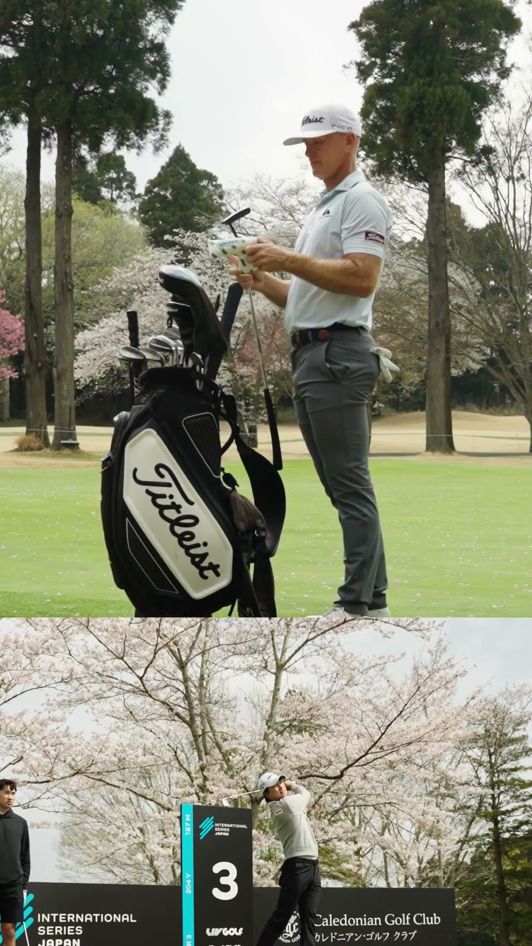 Sakura season 😍🌸