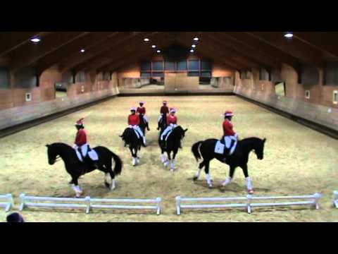 6-er Weihnachtsquadrille Gut Muraunberg 2015