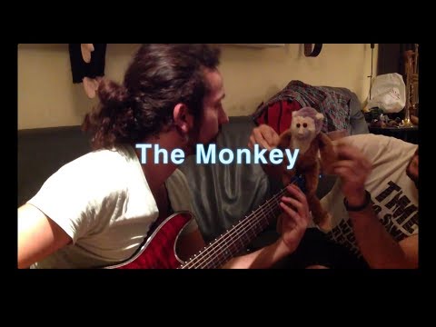Distorted Harmony - The monkey drummer