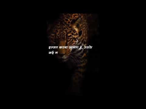 💯🦁LION_ATTITUDE_WHATSAPP_STATUS🔥॥ LION_KING ॥ LION_STATUS ॥ LION ॥ ATTITUDE_WHATSAPP_STATUS