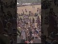 Hurt Hawk end from ACL 2008