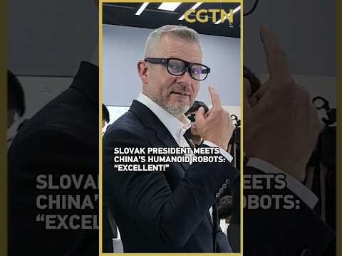 'Excellent!' Why did Slovak president praise this Chinese robot center?