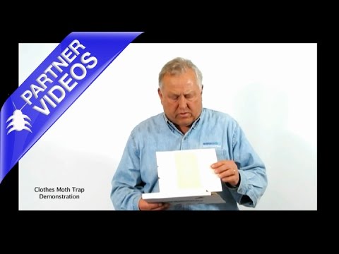  Insects Limited Cloths Moth Demo Video 