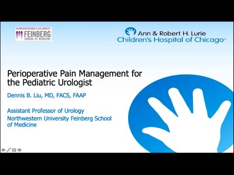 9.15.20 PedsUroFLO Lecture - Perioperative Pain Management for the Pediatric Urologist