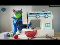 Quarantine Cat von AaronsAnimals vor 10 Quarantine Cat von AaronsAnimals vor 10