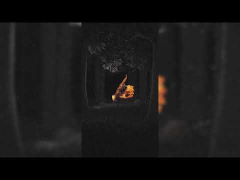 Fill x Marko Glows x SAINT EDYN - Idem Up (Official Visualizer)