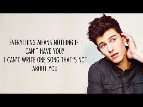 Shawn Mendes - If I Can&#39;t Have You (Lyrics)