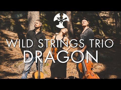 Wild Strings Trio - Dragon (Official Video)
