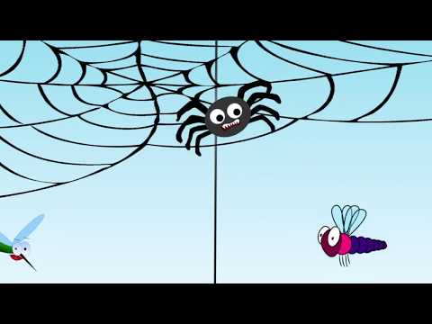 The moth gets saved from a pesky spider!