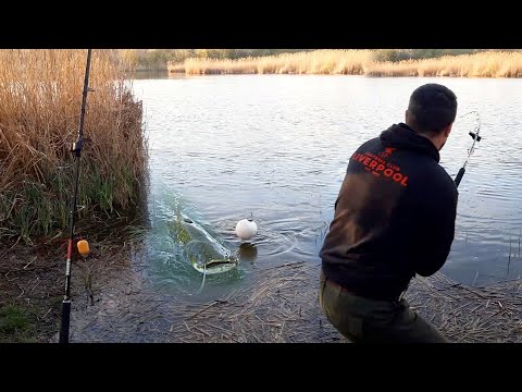 Pecanje soma na jezeru Kraljevac u Vojvodini | Fishing big catfish FULL VIDEO