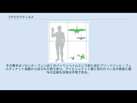 マンティダクティルスについて詳しく解説
