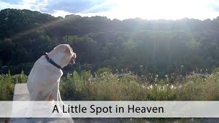 A Little Spot In Heaven - Max