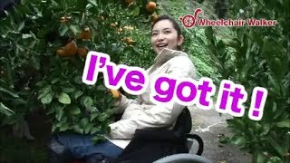 preview picture of video '◆Wheelchair Walker #3 Mandarin Picking (ENG ver.)◆'