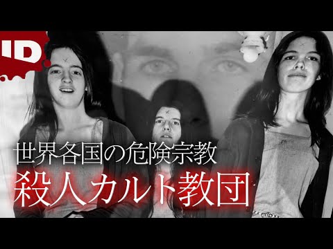 ブラック オイル (X ファイル)について詳しく解説