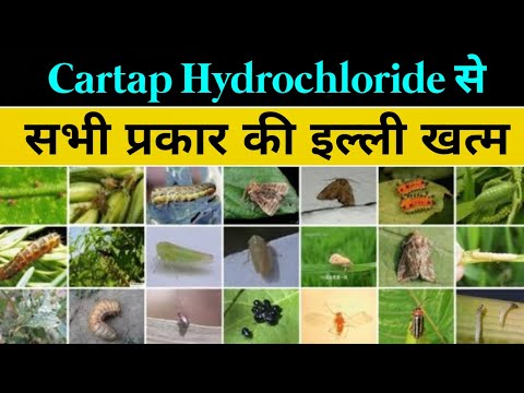 Cartap Hydrochloride का इतना दम 🐛🪲