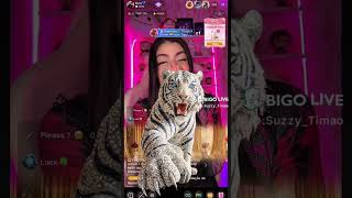 Download lagu BIGO LIVE - Roaring in diamonds. 💎🐅 Unlock this legendary gift✨ mp3