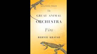 THE GREAT ANIMAL ORCHESTRA by Bernie Krause: Fire Sounds