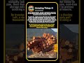 Why Industrial Loggers Purposely Dump Their Cargo Into Water