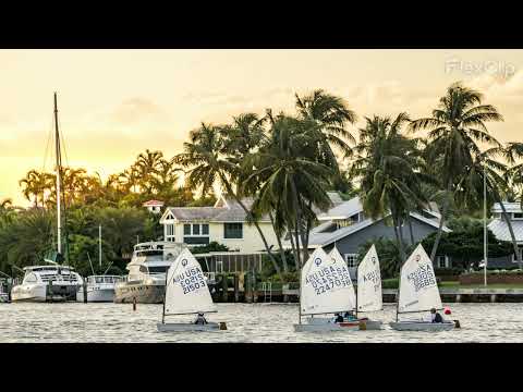 Bob Dylan 29-Jul-2003 ~ Fort Lauderdale, USA (Audio, Opener for & Sit-In with "The Dead")